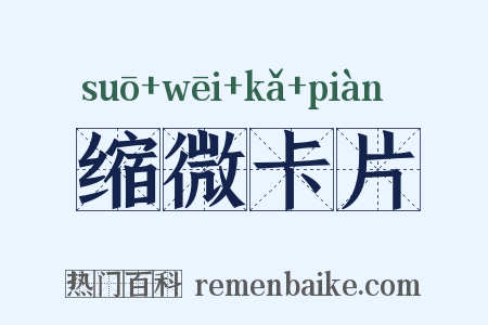 缩微卡片是什么意思的图片